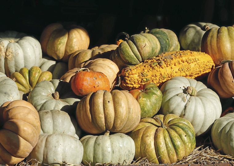 Sand Springs Pumpkin Patch Festival